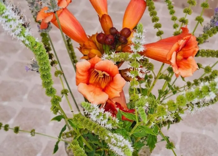 شقة Mario Ražanac