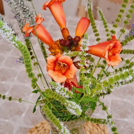 Apartamento Mario Ražanac